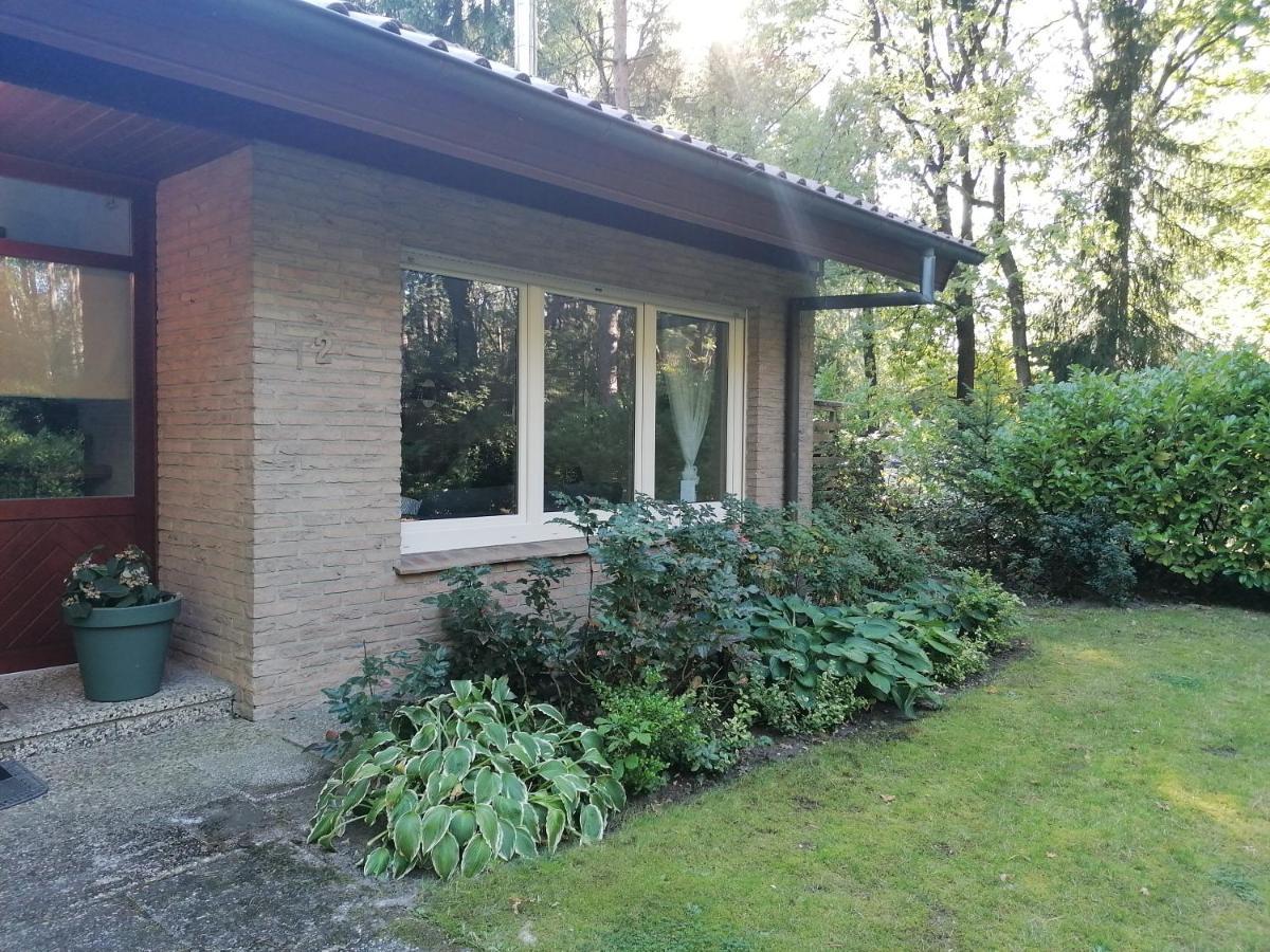 Uelsen Ferienhaus Fasanennest מראה חיצוני תמונה
